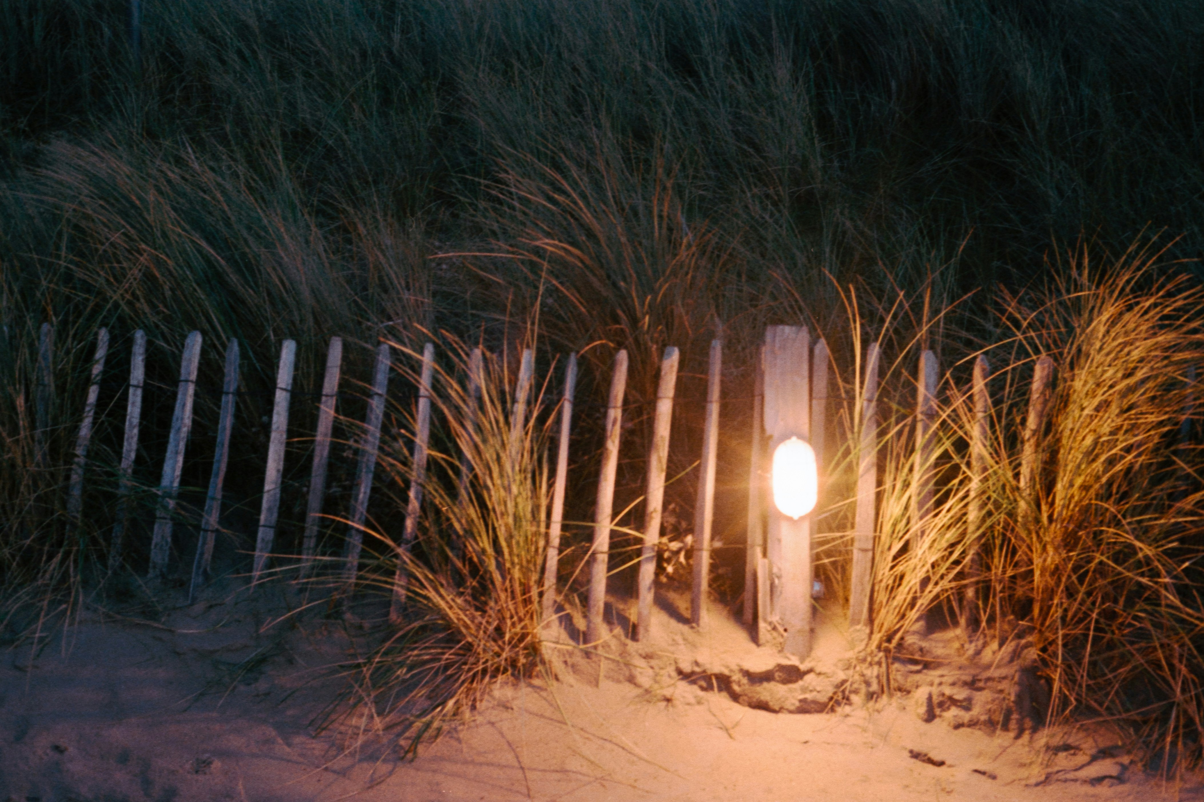 brown wooden fence during night time